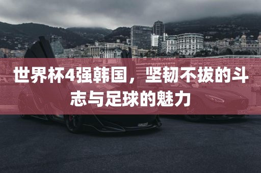 世界杯4强韩国，坚韧不拔的斗志与足球的魅丹东日丰电子有限公司力