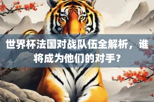 世界杯法国对战队伍全解析，谁将成为他们的对手？丹东日丰电子有限公司