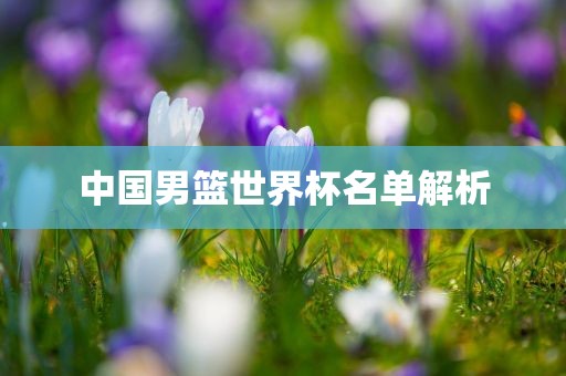 中国男篮世界杯名单解析丹东日丰电子有限公司