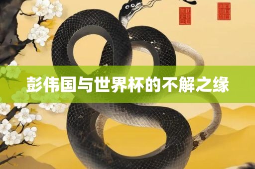 彭伟国与世界杯的不解之缘丹东日丰电子有限公司