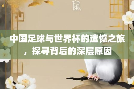 中国足球与世界杯的遗憾之旅，探寻背后的深层原因