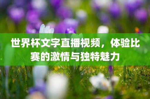 世界杯文字直播视频，体验比赛的激情与独特魅力丹东日丰电子有限公司