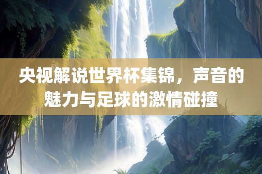 央视解说世界杯集锦，声音的魅力与足球的激情碰撞