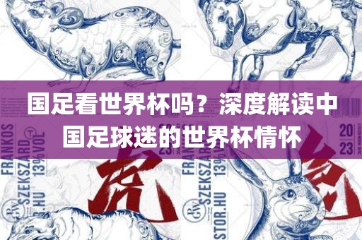 国足看世界杯吗？深度解读中国足球迷的世界杯情怀丹东日丰电子有限公司