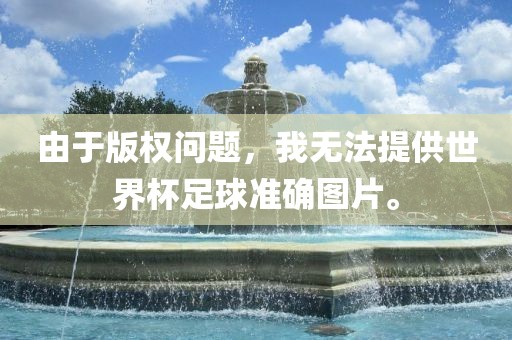 由于版权问题，我无法提供世界杯足球准确图片。