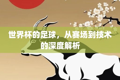 世界杯的足球，从赛场到技术的深度解析