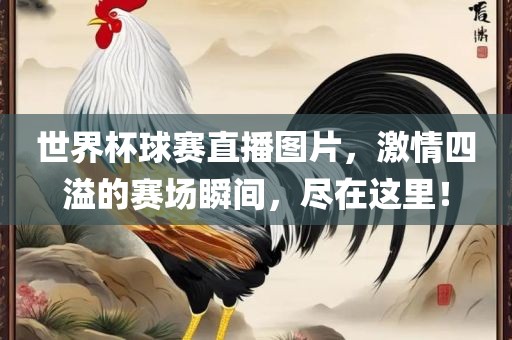 世界杯球赛直播图片，激情四溢的赛场瞬间，尽在这里！丹东日丰电子有限公司