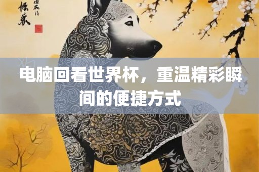电脑回看世界杯，重温精彩瞬丹东日丰电子有限公司间的便捷方式