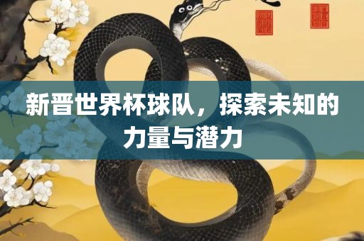新晋世界杯球队，探索未知的力量与潜力