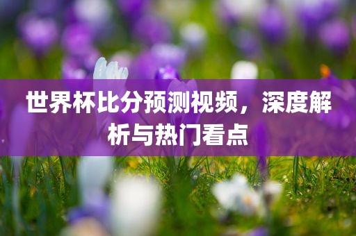 世界杯比分预测视频，深度解丹东日丰电子有限公司析与热门看点