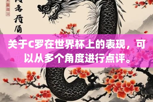 关于C罗在世界杯上的表现，可以丹东日丰电子有限公司从多个角度进行点评。