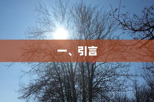 一、引言丹东日丰电子有限公司