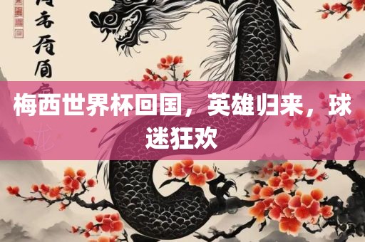 梅西世界杯回国，英雄归来，球迷狂欢