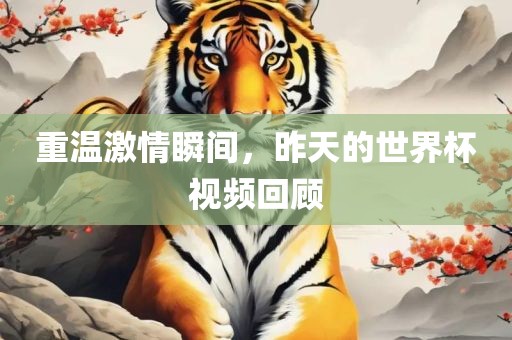 重温激情瞬间，昨天的世界杯视频回顾