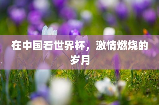 在中国看世界杯，激情燃烧的岁月丹东日丰电子有限公司