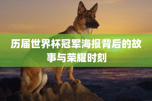 历届世界杯冠军海报背后的故事与荣耀时刻