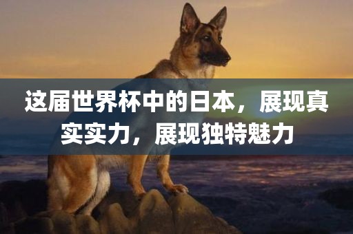 这届世界杯中的日本，展现真实实力，展现独特魅力