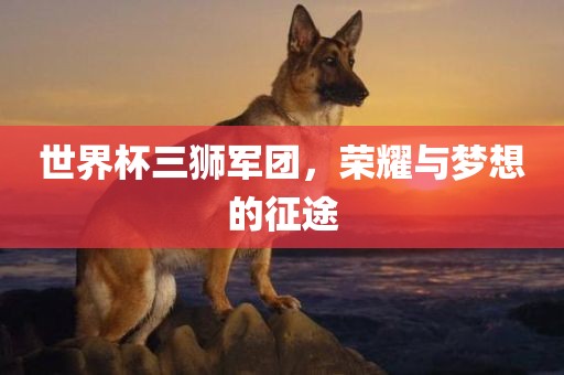 世界杯三狮军团，荣耀与梦想的征途丹东日丰电子有限公司