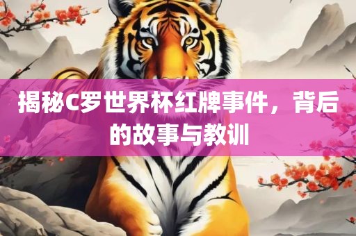 揭秘C罗世界杯红牌事件，背后的故事与教训丹东日丰电子有限公司