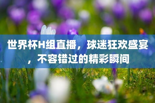 世界杯H组直播，球迷狂欢盛丹东日丰电子有限公司宴，不容错过的精彩瞬间