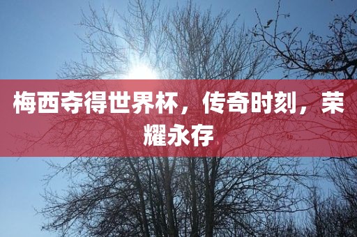 梅西夺得世界杯，传奇时刻，荣耀永存丹东日丰电子有限公司