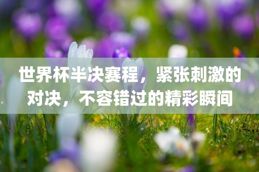 世界杯半决赛程，紧张刺激的对决，不容错过的精彩瞬间丹东日丰电子有限公司