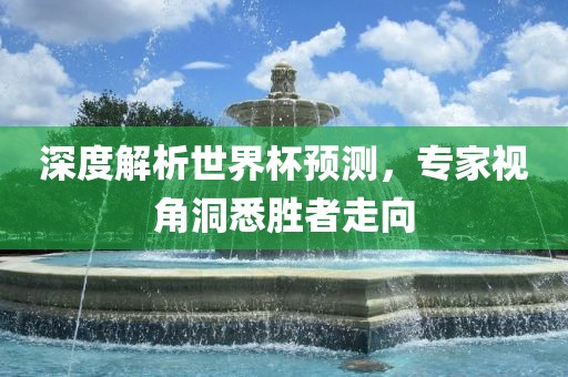 深度解析世界杯预测，专家视角洞悉胜者走向