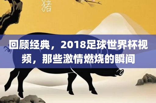 回顾经典，2018足球世界杯视频，那些激情燃烧的瞬间