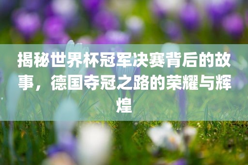 揭秘世界杯冠军决赛背后的故事，德国夺冠之路的荣耀与辉煌