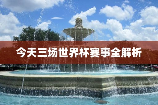 今天三场世界杯赛事全解析