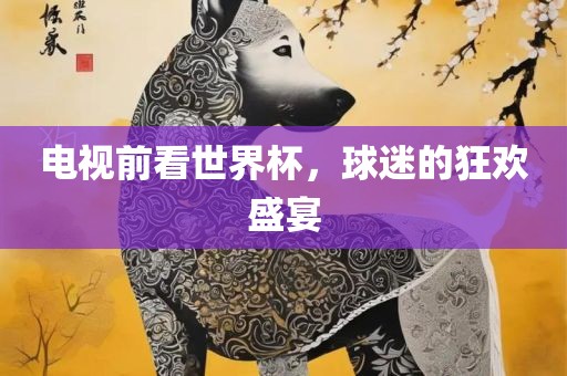电视前看世界杯，球迷的狂欢盛宴