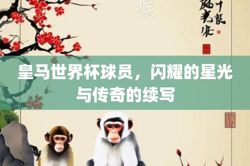 皇马世界杯球员，闪耀的星光与传奇的续写