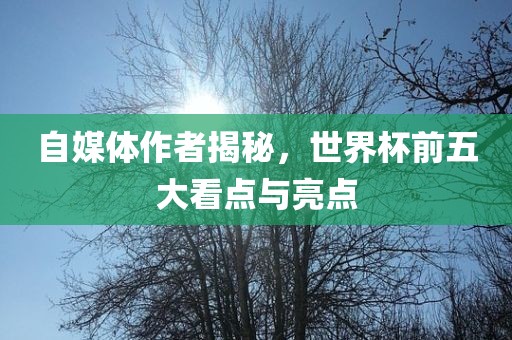 自媒体作者揭秘，世界杯前五大看点与亮点