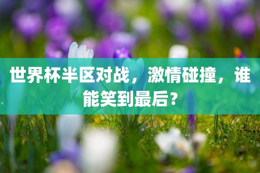 世界杯半区对战，激情碰撞，谁能笑到最后？丹东日丰电子有限公司