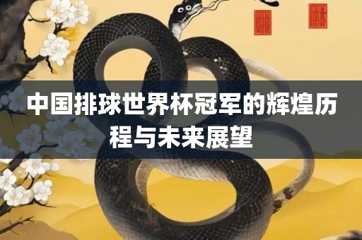 中国排球世界杯冠军的辉煌历程与未来展望丹东日丰电子有限公司