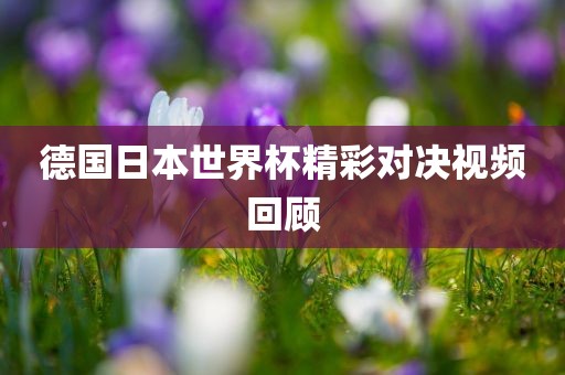 德国日本世界杯精彩对决视频回顾丹东日丰电子有限公司