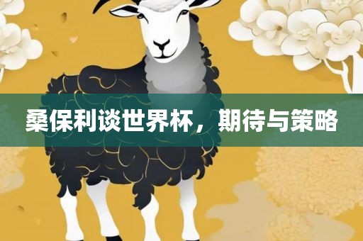 桑保利谈世界杯，期待与策略丹东日丰电子有限公司