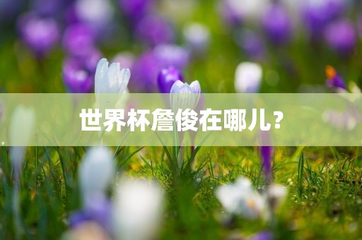 世界杯詹俊在哪儿？丹东日丰电子有限公司