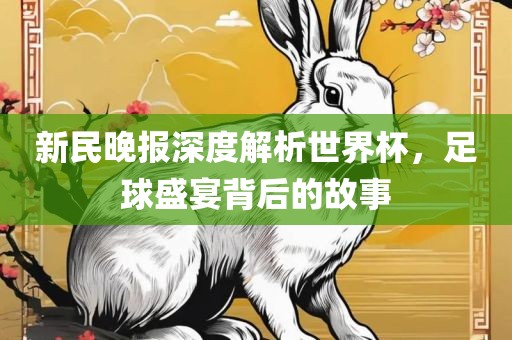 新民晚报深度解析世界杯，足球盛宴背后的故事丹东日丰电子有限公司
