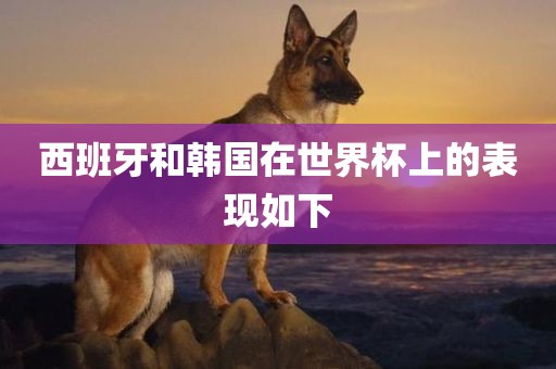 西班牙和韩国在世界杯上的表现如下