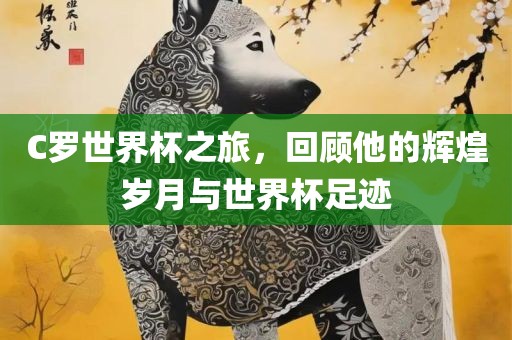 C罗世界杯之旅，回顾他的辉煌岁月与世界杯足迹丹东日丰电子有限公司