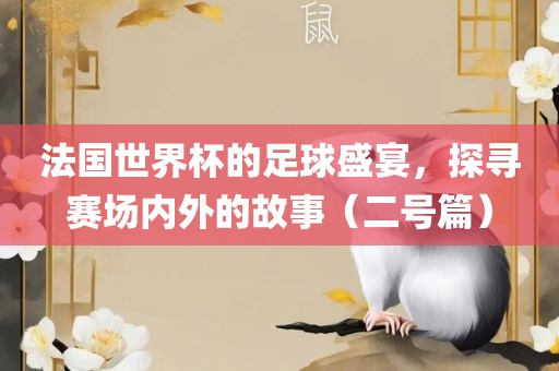 法国世界杯的足球盛宴，探寻赛场内外的故事（二号篇）