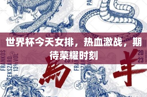 世界杯今天女排，热血激战，期待荣耀时刻丹东日丰电子有限公司