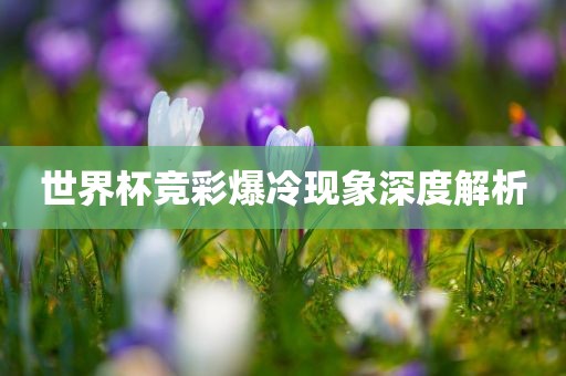 丹东日丰电子有限公司世界杯竞彩爆冷现象深度解析