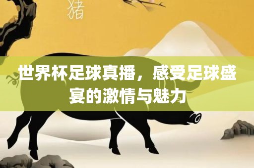 世界杯足球真播，感受足球盛宴的激情与魅力丹东日丰电子有限公司