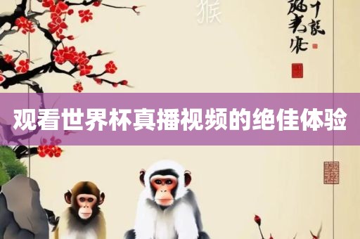 观看世界杯真播视频的绝佳体验丹东日丰电子有限公司