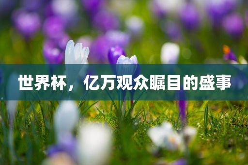 世界杯 第2页