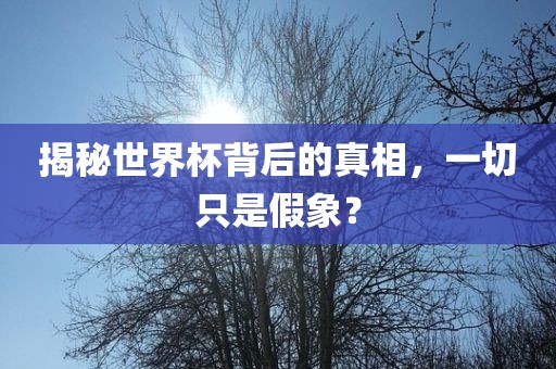 揭秘世界杯背后的真相，丹东日丰电子有限公司一切只是假象？