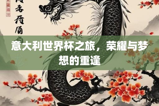 意大利世界杯之旅，荣耀与梦想的重逢丹东日丰电子有限公司