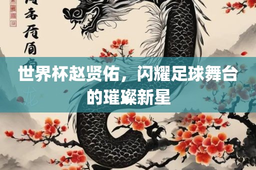 世界杯赵贤佑，闪耀足球舞台的璀璨新星丹东日丰电子有限公司
